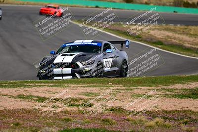 media/Feb-25-2024-Speed Ventures (Sun) [[b9a2a97a4d]]/Mustang Drivers Club/Session 3 (Turn 2)/